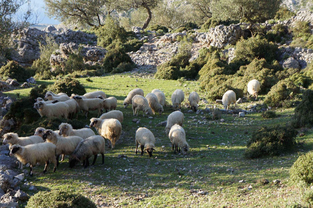 Les Villas De Qëparo Exteriér fotografie